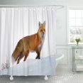 thumbnail image 1 of ABPHQTO Mamíferos Red Fox in Snow Swift Cunning Yellowstone National Cortina de ducha 150x180 cm, 1 of 1