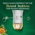thumbnail image 6 of Air Wick Vibrant Plug-In Scented Oil Air Freshener Warmer Refills, White Sage and Mahogany, 3 Count, 6 of 9