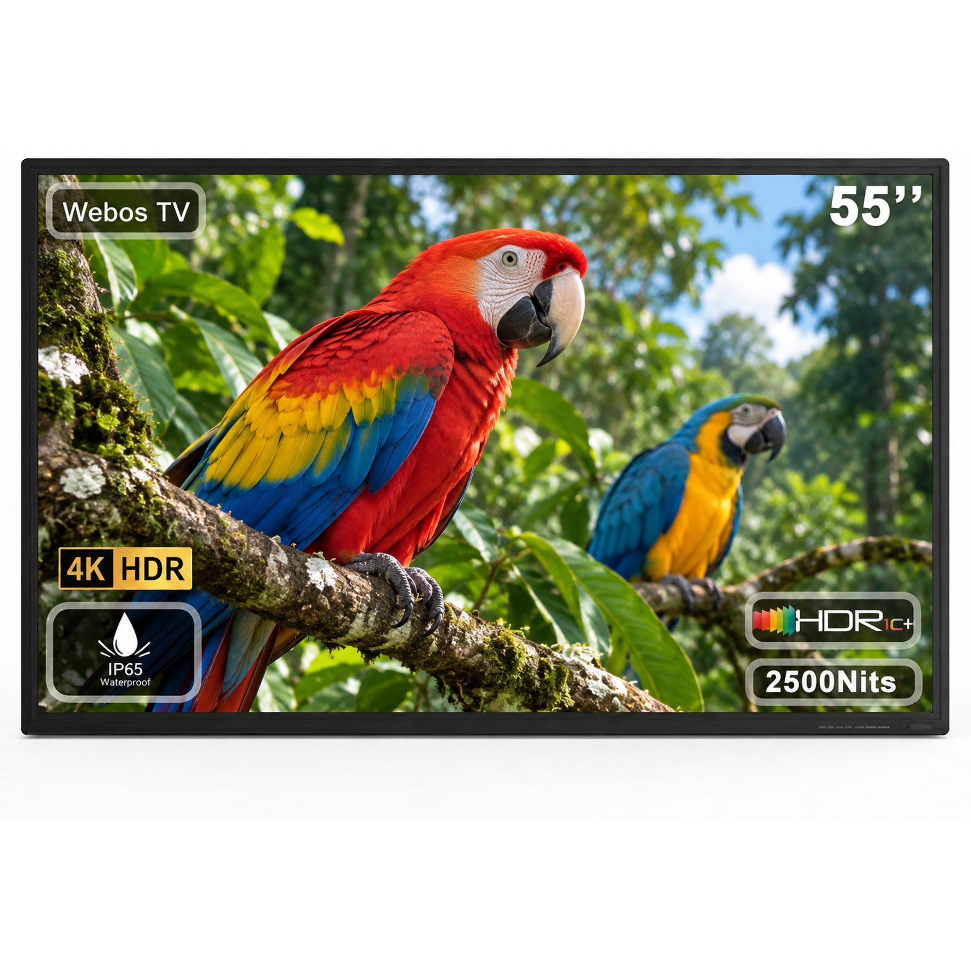 Nexella 55" 4K Smart Outdoor TV, 2500-Nit Ultra Bright Full Sun TV, IP65 Waterproof & Rustproof Aluminum Frame, for Patio, Pool & Backyard, HDR10, Dolby Sound