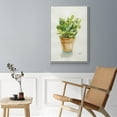 thumbnail image 5 of Succulent I Framed Premium Gallery Wrapped Canvas - Ready to Hang - 27 x 41 - White Floating Frame, 5 of 9