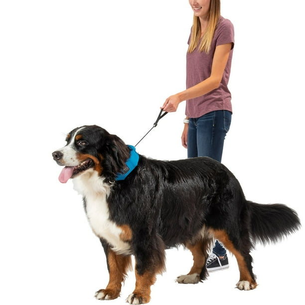 Dog collar with clearance retractable leash built in