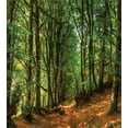thumbnail image 3 of Ambesonne Forest Duvet Cover Sets, Woodland Pathway Scene, 2-Queen, Green Brown, 3 of 7