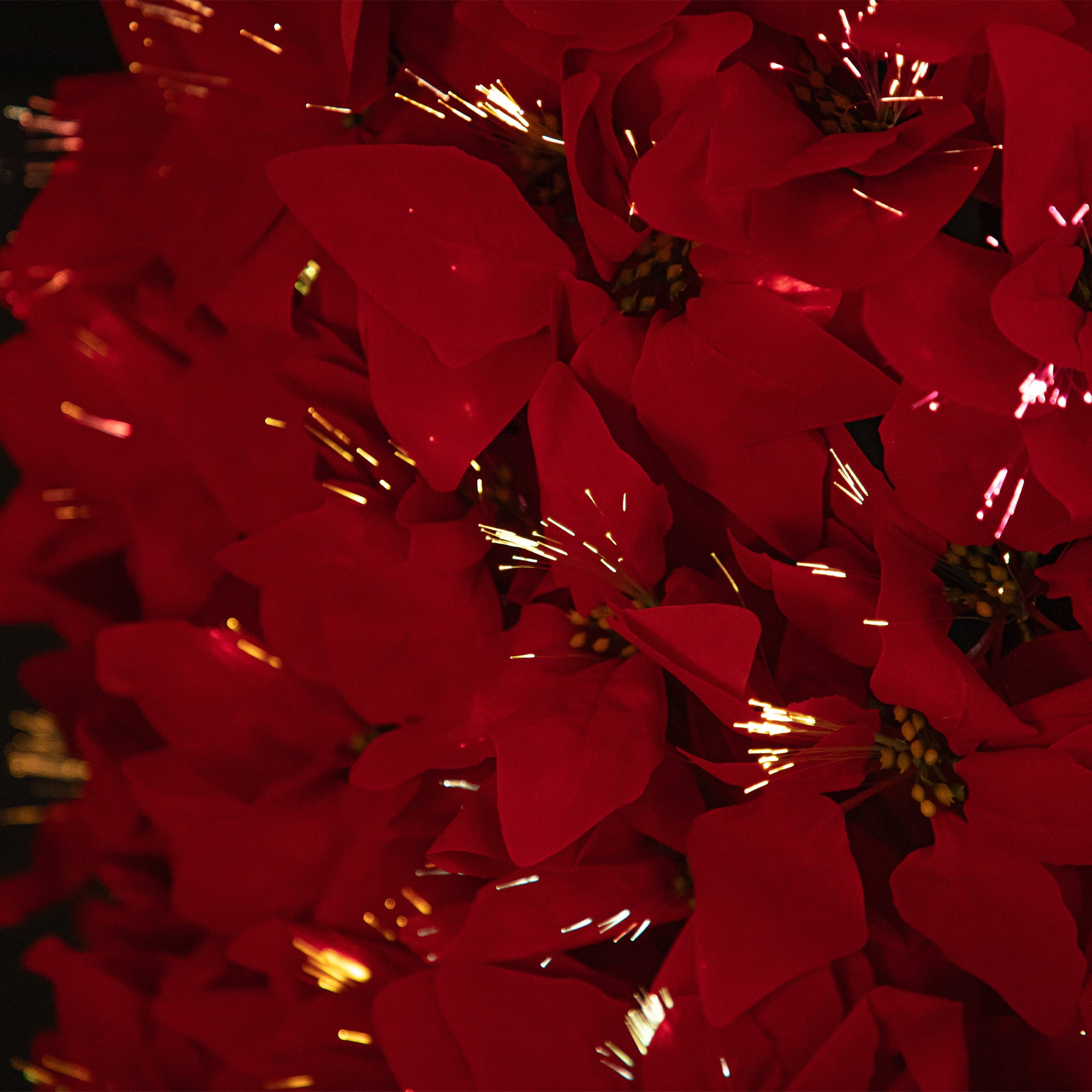 Pre-Lit Fiber Optic Color Changing Red Poinsettia Christmas Tree - 6'