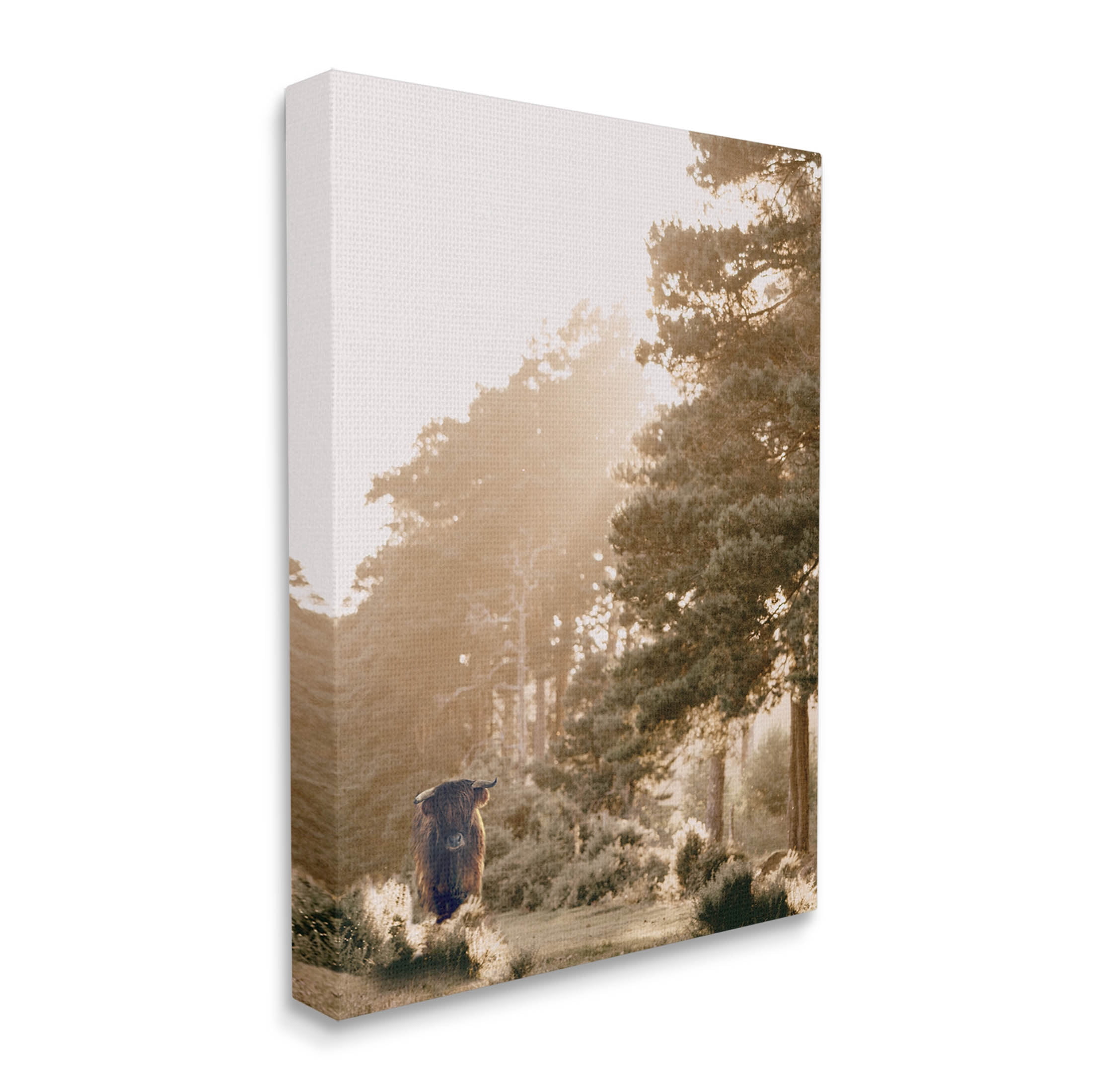 Stupell Industries Rural County Cattle Field Sunlit Rays Photograph Gallery Wrapped Canvas Print Wall Art, Design by Leah Straatsma