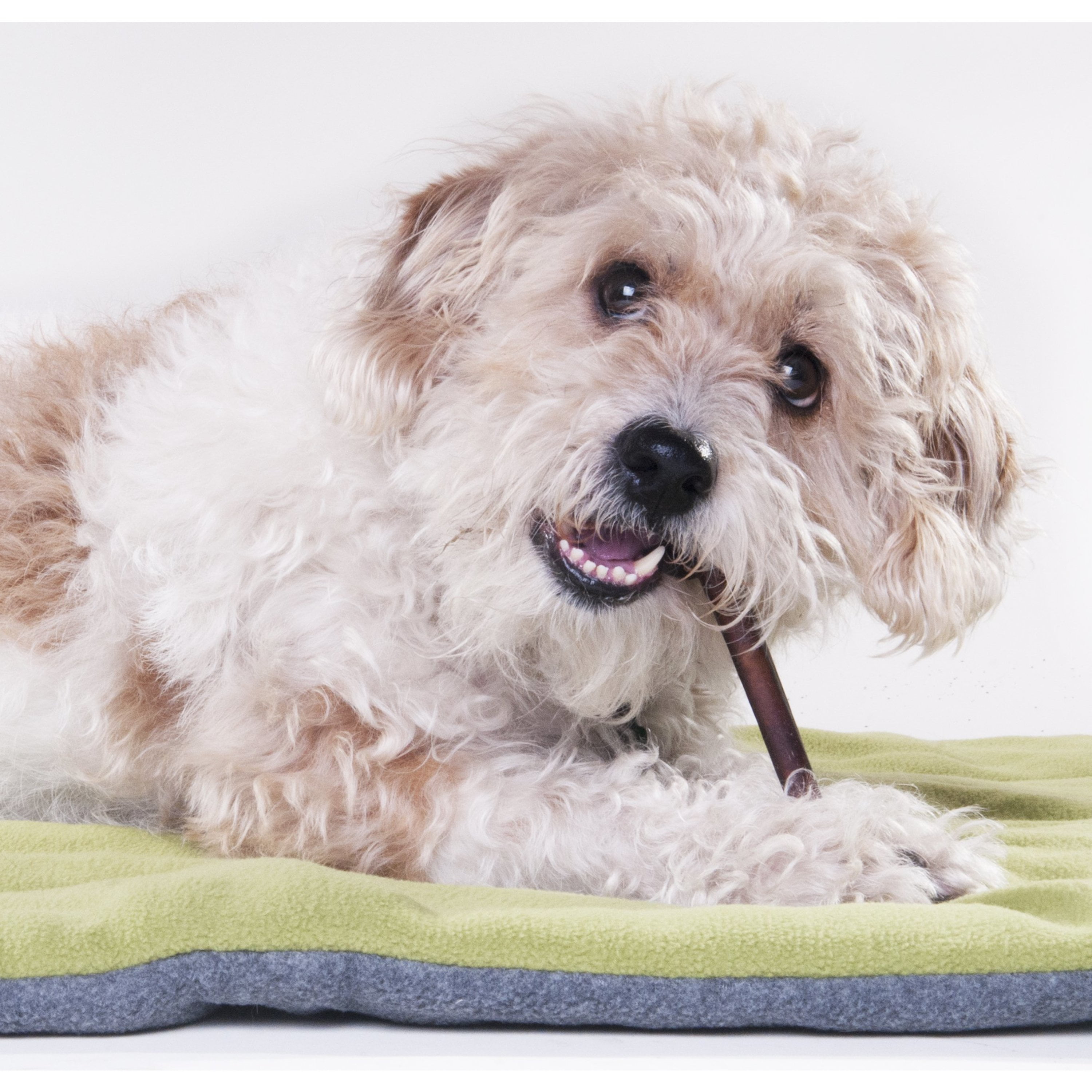 Downtown Pet Supply Bully Sticks For Dogs Rawhide Free Dog Chews 1/2 LB