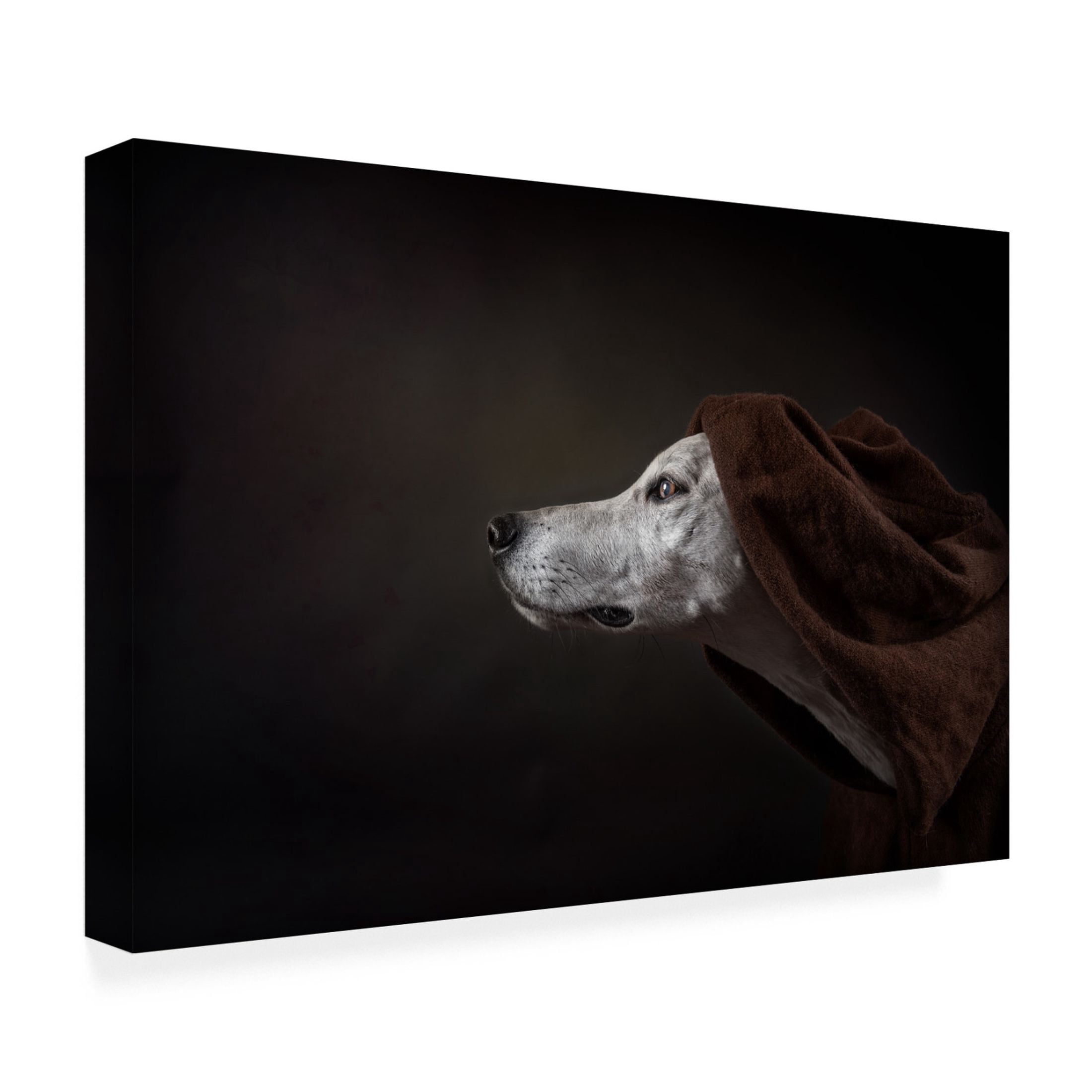 Canvas Wall Art - Heike Willers 'The Name Of The Rose Umberto Ecco ' Wall Art for Living Room, Bedroom, or Office Décor by Trademark Fine Art - 19 x 12 Inches