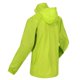 thumbnail image 4 of Regatta - Chaqueta Impermeable Lyle IV para Hombre (Verde Pacífico) Regatta UTRG3476_pacificgreen, 4 of 6