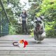 thumbnail image 2 of 1pc Pet Cat Dog Chewing Toy Dog Interactive Plaything Pet Bite-resistant Toy, 2 of 3