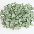 thumbnail image 4 of Toystoory Hojas de eucalipto Planta artificial Hojas Centro de Hojas Oficina en el hogar Fiesta de boda Decoración Planta Plantas Artificiales gris blanco Toystoory HA6648-01B, 4 of 6