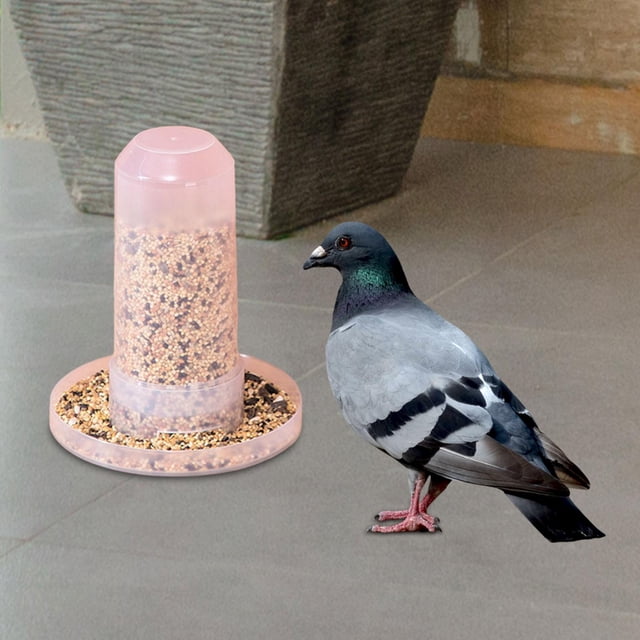 Dispensador de agua para loros, estación de alimentación, jaula, accesorios, contenedor de alimentos, alimentación automática para periquitos, Alimentador Salvador Comedero para pájaros