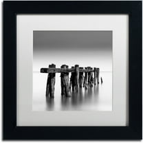 Trademark Fine Art "Weathered" Canvas Art by Dave MacVicar, White Matte, Black Frame