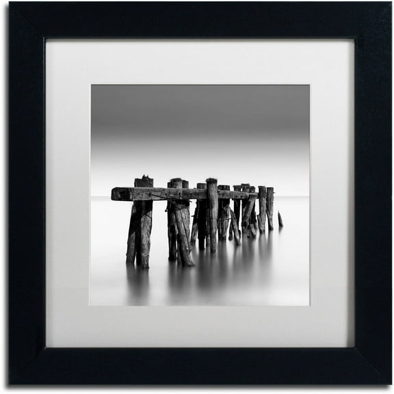 Trademark Fine Art "Weathered" Canvas Art by Dave MacVicar, White Matte, Black Frame