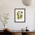thumbnail image 3 of Magnificent Magnolias II Framed Print Wall Art by Jacob Trew Sold by Art.Com, 3 of 5