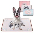 thumbnail image 1 of Pet Sleep Mat Cartoon Detachable Cool Dog Sleep Mat Pet Sleep Pad for Summer, 1 of 6