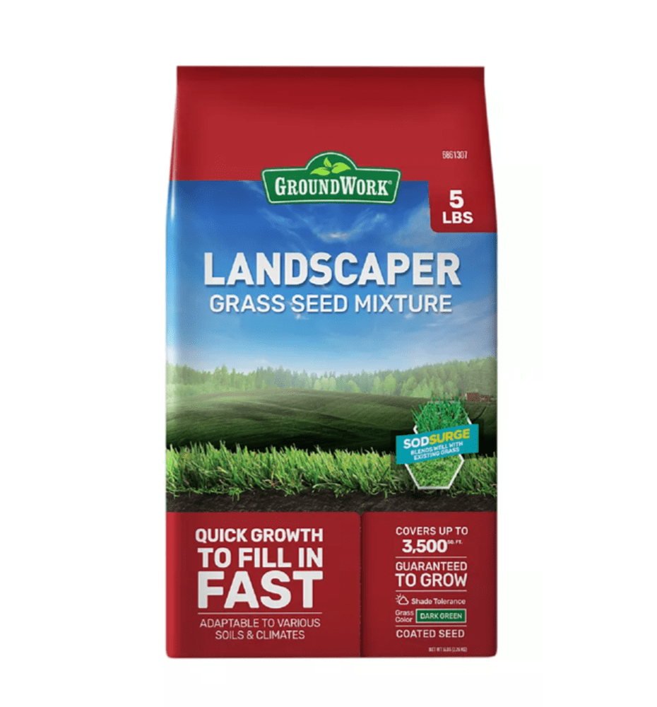 Barenbrug Wonderlawn Rhode Island Lawn Seed Mixture, Full Sun