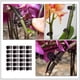thumbnail image 3 of 400 piezas de abrazaderas de plástico para enredaderas, pinzas para injertar, pinzas para enderezar plantas y abrazaderas de soporte para plantas, 3 of 6
