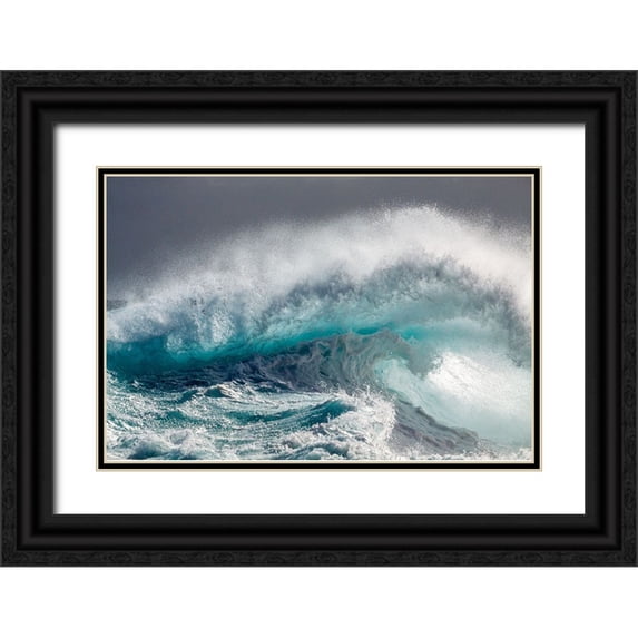 Degryse, Michelle 18x13 Black Ornate Wood Framed with Double Matting Museum Art Print Titled - Mighty water