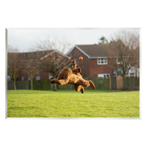 Stupell Industries Eye on the Ball Dog Animals & Insects Photography Unframed Art Print Wall Art, 15 x 10