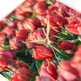 thumbnail image 3 of 3dRose, Netherlands, Noth Holland. Het Zand. Tulip fields., 15x15 Wall Clock, 3 of 8