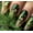 Green forest, variant on Press On Nails Pink Diamond Acrylic Short Fake Nails Design Stick On Nails Tips, Glue On Nails False Nails For Women Nail Kit