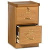 Steelworks 2-Drawer File Cabinet