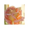 thumbnail image 5 of Kit de pintura de diamante 5D para adultos bordado flor decoración de arte para el hogar regalos de bricolaje Flor rosa Sunnimix Kit de pintura de diamante 5D, 5 of 5