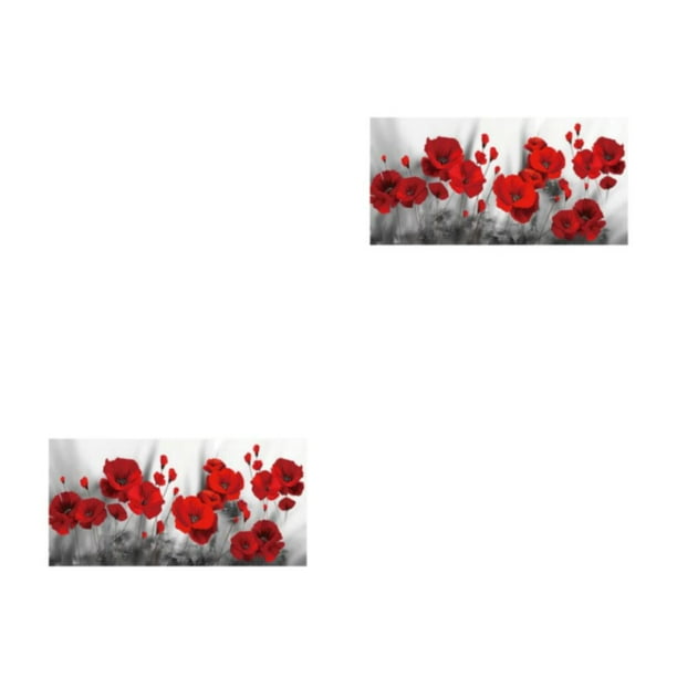Cateissary Kits de pintura de diamantes ecológicos rojos para amantes del arte diamantes pintura amapolas flor Type4 NO4