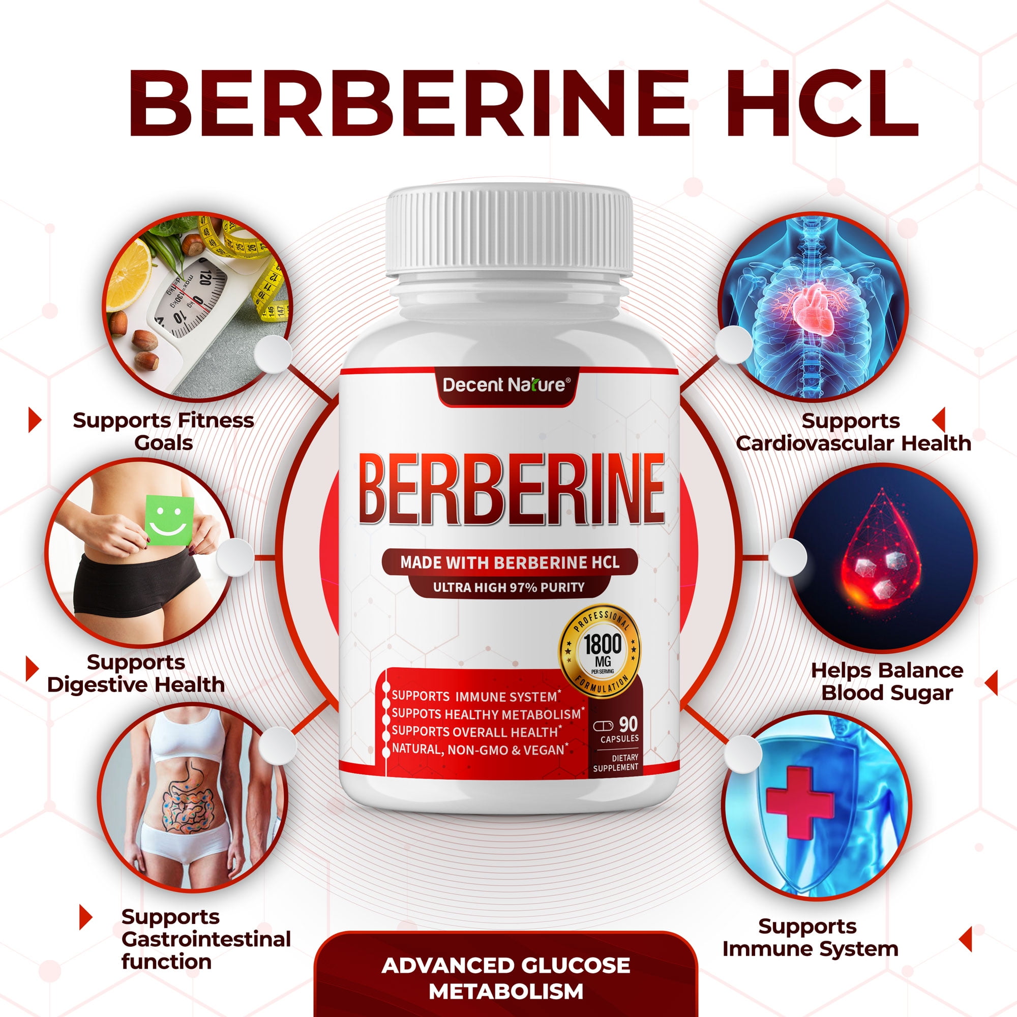 Decent Nature Berberine Supplement 1800mg Berberine HCl 97% Purity 90 Capsules