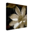 thumbnail image 2 of Trademark Fine Art 'Bronze Lily I' Canvas Art by Noah Bay, 2 of 4