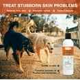 thumbnail image 3 of Lime Sulfur Pet Shampoo Spray (8 oz) to rinse Dogs, Cats, Puppies, Kittens, and Horses by Conchel, 3 of 8