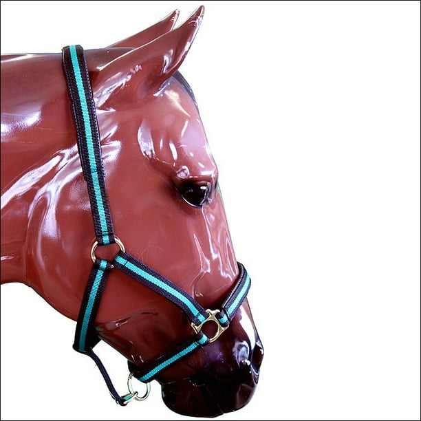 Weaver Leather Padded Adjustable Nylon Horse Halter, Green, 1 Average Horse  