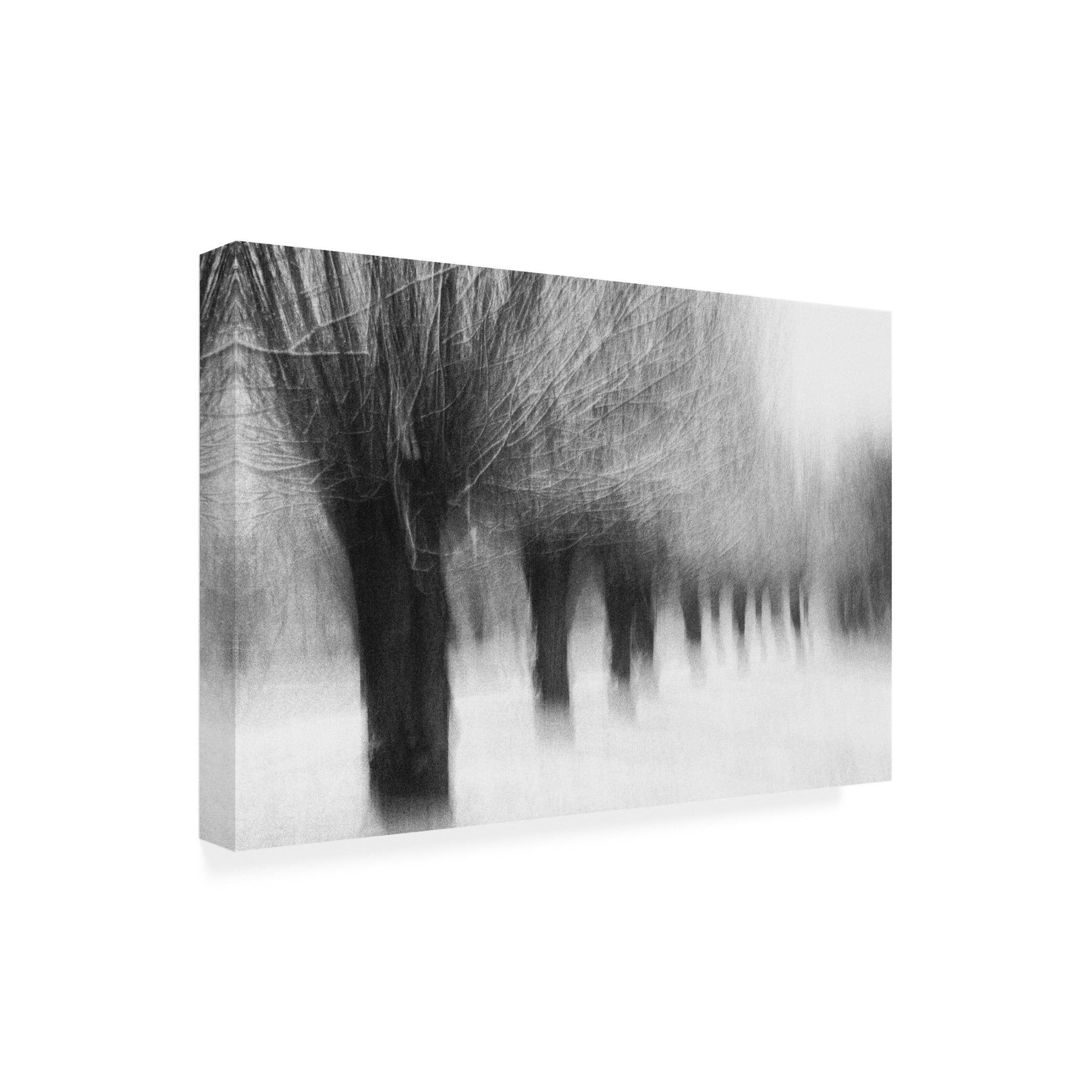 Canvas Wall Art - Jacqueline Van Bijnen 'Winterwillows' Wall Art for Living Room, Bedroom, or Office D?cor by Trademark Fine Art - 24 x 16 Inches