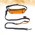 thumbnail image 2 of Laisse pour Chien Mains Libres pour Course Marche Randonnée avec Poche de Taille Réglable (Orange), 2 of 8