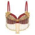 thumbnail image 1 of Raenseen Haut Court de Danse du Ventre pour Femme Bretelles Ajustables Franges Paillettes Soutien-Gorge Dos Nu Boîte de Nuit Rouge Taille Unique, 1 of 7