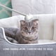 thumbnail image 4 of Labymos Gato Peine Mascota Depilación Masajeador Cat, 4 of 8