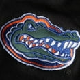 thumbnail image 2 of Women's Stadium Athletic Black Florida Gators Arched Name Full-Zip Hoodie, 2 of 3