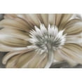 thumbnail image 3 of Weisz, Irene 14x11 Black Modern Framed Museum Art Print Titled - Dreamin, 3 of 5