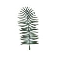 thumbnail image 1 of Artificial Ferns Simulation Leaves Fake Plants 0.8-1.4M Botanical Garden Home Wedding Decor Potted Coconut Tree, 1 of 2