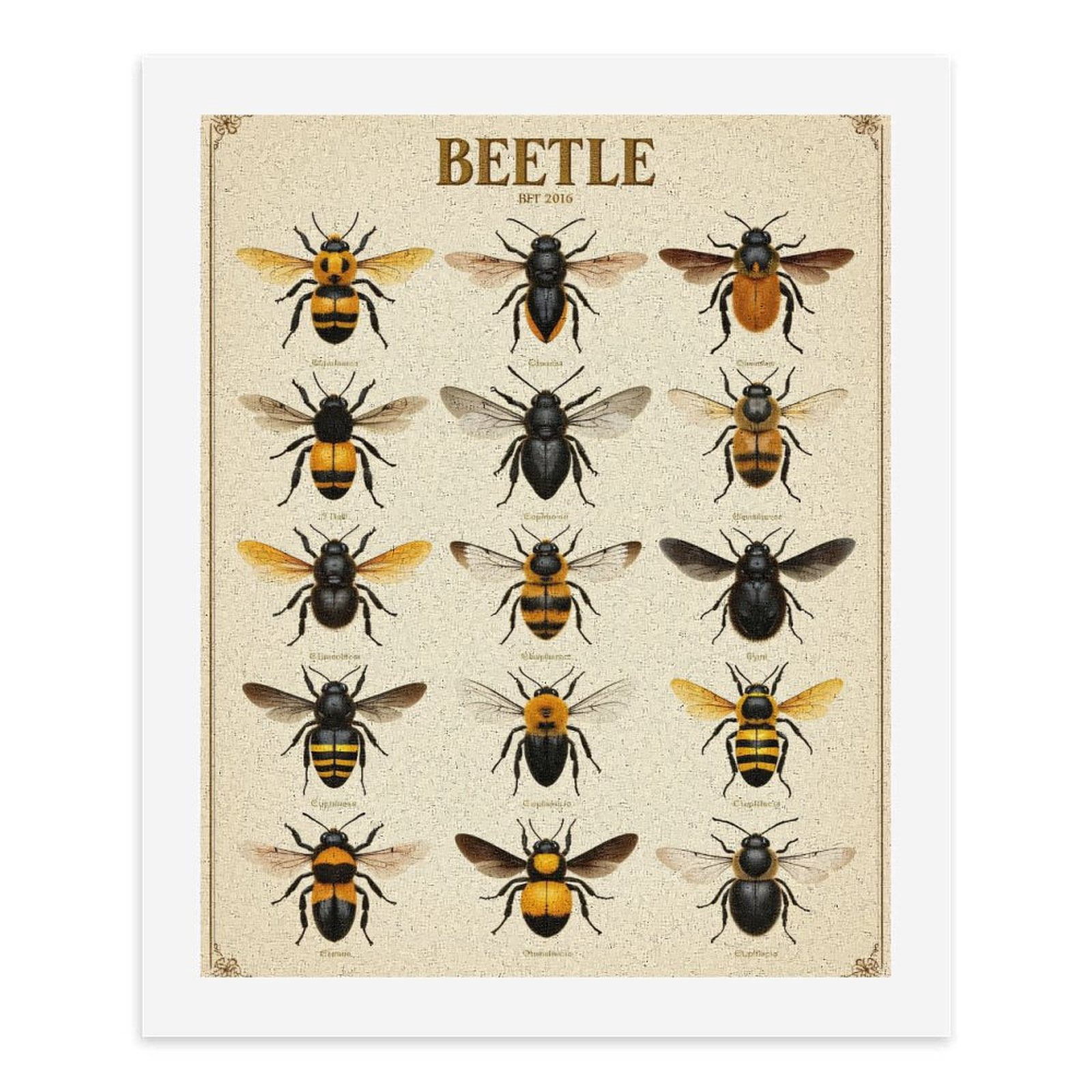 Paint By Numbers Kit for Adults Beginner - DIY Bumblebee Variety Illustration Chart Canvas Painting Kits for Adults, Frameless Paint By Number for Adults for Home Wall Decor 16x20 Inch
