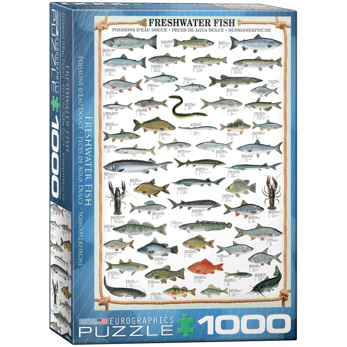 EuroGraphics Sharks 1000-Piece Jigsaw Puzzle - 19.25x26.5 Inch, Eco-Friendly, Made In USA