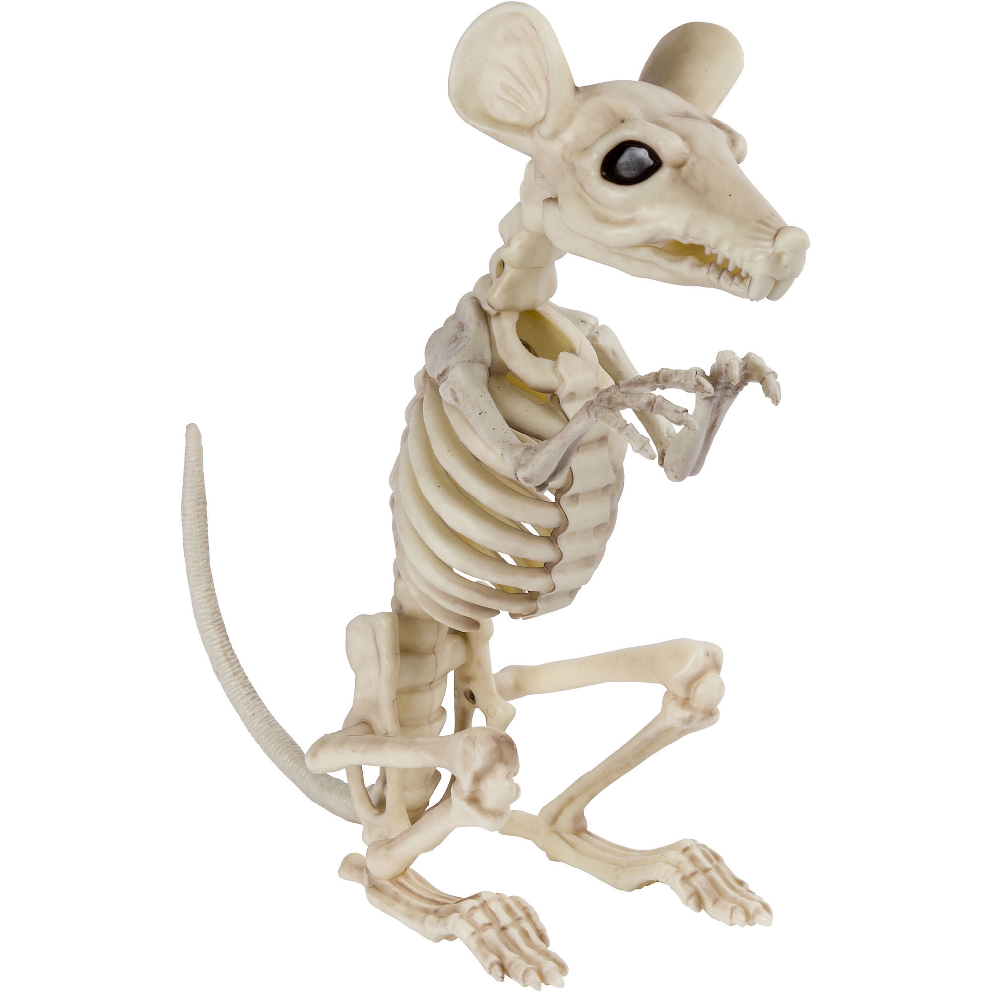 Halloween Animal Skeleton Assortment 
