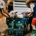 thumbnail image 6 of 80 Ounce (Pack of 1) Resealable Bag Organic Lime Insect Deterrent, Non-Chemical Outdoor Bug Repellent for Garden, Yard & Foundation﻿, 6 of 10