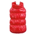 thumbnail image 1 of para proteger de invierno cálido para perros , ropa para , chaleco acolchado, chaqueta de lana, para proteger, disfraz jinwen  Ropa para perros, 1 of 7