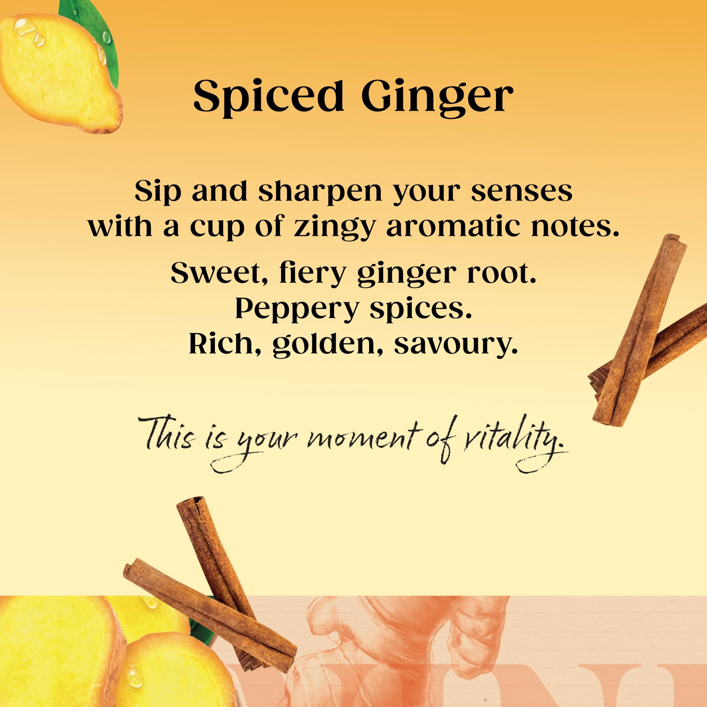 Twinings Spiced Ginger Tea Bags 20 Pack 35g, Imported from Britain