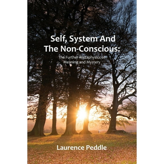 Self, System and the Non-Conscious: The Further Metaphysics of Meaning and Mystery (Paperback)