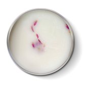 Pet Paw Balm - BeSoft by BeLoved
