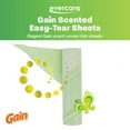 thumbnail image 4 of Evercare Pack of 3 Gain Scented All-Purpose Mega Lint Roller Refill Rolls, 50 Sheets Each, 4 of 8