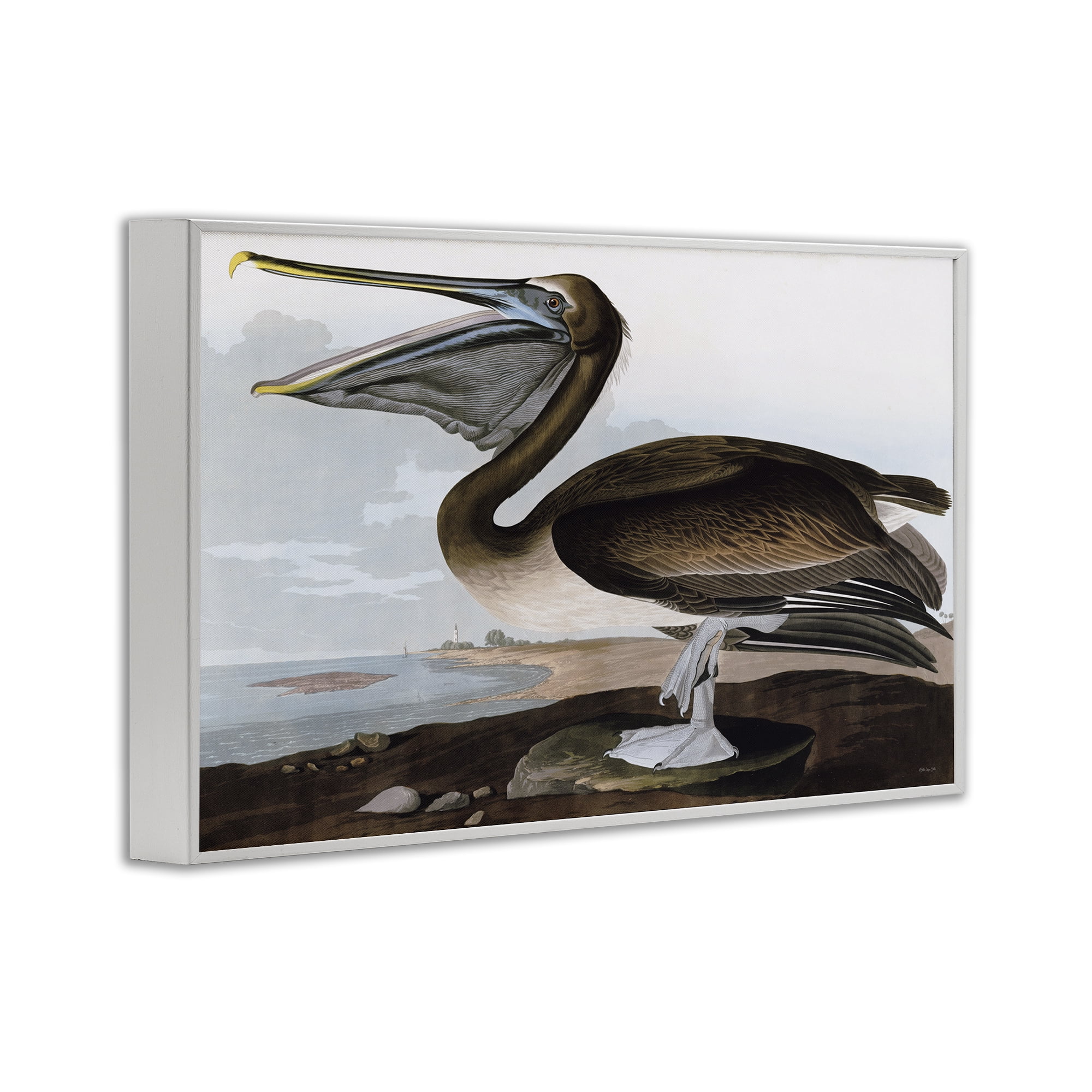 Stupell Industries Classic Pelican at Beach Animals & Insects Painting White Framed Art Print Wall Art, 24 x 16