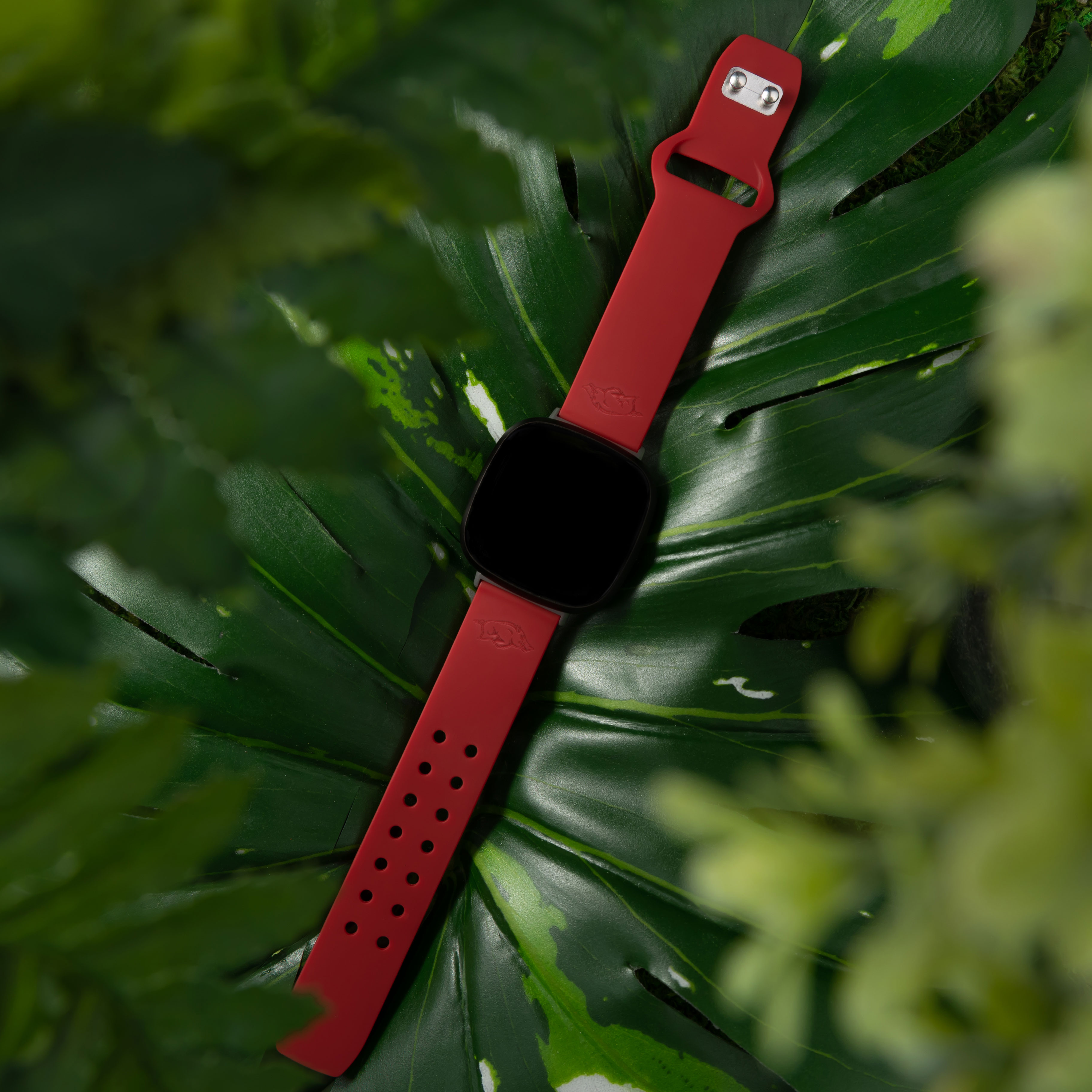 Arkansas Engraved Silicone Unisex Watch Band for Fitbit Versa 3 and Sense (Crimson) by Affinity Bands
