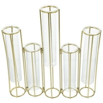 HOMEMAXS Hinged Flower Vases With 5 Test Tubes Glass Flower Vase With Metal Stand Propagation Station Plants Display Holder Set For Home Wedding Decor